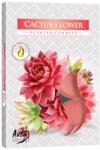 BISPOL Ароматни чаени свещи Bispol Aura - Cactus Flower, 6 броя (p15-312)