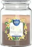 BISPOL Ароматна свещ Bispol Aura - Wild Vanilla, 500 g (/snd99t-387)
