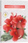 BISPOL Ароматни свещи Bispol Aura - Hibiscus-White Sage, 6 броя (p15-356)