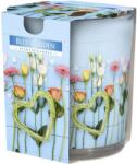 BISPOL Ароматна свещ Bispol Aura - Blue Garden, 100 g (sn72s-08)