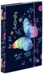 KARTON P+P Cutie pentru caiete A4 Jumbo Butterfly