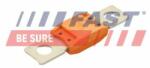 FAST siguranta fuzibila FAST FT83403 (FT83403) - automobilus