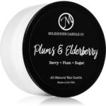 Milkhouse Candle Milkhouse Candle Co. Creamery Plums & Elderberry lumânare parfumată Sampler Tin 42 g