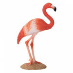 Mojo Amerikai flamingó (MJ387134)