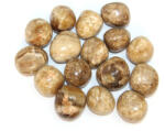  Aragonit de Peru Minaral Natural Rulat 29-35 x 28-33 mm - ( XL ) - 1 Buc