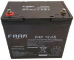 FAAM AGM VRLA 12V 55Ah