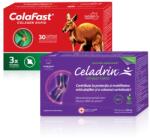 Good Days Therapy Celadrin Extr. Forte 60cps+colafast Colag. Rap. 30cps Pch