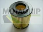 MOTAQUIP Filtru ulei MOTAQUIP VFL482 (VFL482) - automobilus