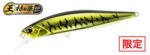 DUO REALIS JERKBAIT 100F 10cm 13.7gr ASAZ399 Gunmetal M Gold Tiger