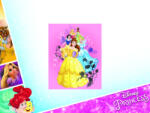 Exity Disney Hercegnők polár takaró 100*150cm (PRI-1744-2210)