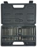 PROLINE Ribe/torx Bitfej Szett - Cr-va-s2 - 42 Db (10747)