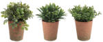 Bizzotto Set 3 ghivece plante artificiale 8x16 cm (0172457deco)