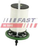FAST filtru combustibil FAST FT39111 (FT39111) - automobilus