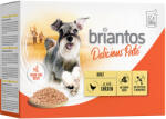 Briantos 12x100g Briantos Delicious Paté Csirke nedves kutyatáp