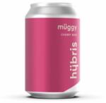 hübris Hübris Müggy Cherry Beer /Dobozos/ [0, 33L|4, 2%]