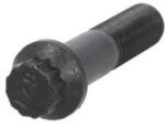 S-TR Surub, disc frana S-TR STR-41007 (STR-41007)