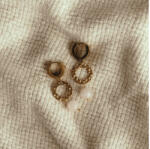 Napfény ékszer Arany színű lógó karikás rózsakvarc kitartást növelő, harmonizáló, szeretet fülbevaló