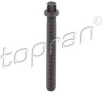 TOPRAN Surub fulie TOPRAN 503 132 (503 132)