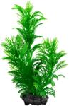Tetra Műnövény Tetra Green Cabomba L