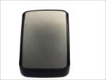 PACOL Oglinda exterioara PACOL DAF-MR-008 (DAF-MR-008)