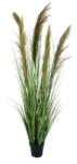 Bizzotto Pampas artificial in ghiveci verde maro 70x145 cm (0172901)