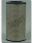 FLEETGUARD Filtru aer FLEETGUARD AF25437 (AF25437)