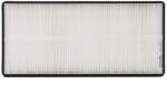FLEETGUARD Filtru, aer habitaclu FLEETGUARD AF55891 (AF55891)