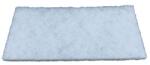 FLEETGUARD Filtru, aer habitaclu FLEETGUARD AF55769 (AF55769)