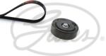 GATES Set curea transmisie cu caneluri GATES Micro-V® K036PK1255 (K036PK1255)