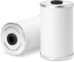 FLEETGUARD filtru combustibil FLEETGUARD FF5055 (FF5055) - automobilus