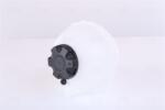 NISSENS Vas de expansiune, racire NISSENS ** FIRST FIT ** 996262 (996262)