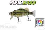Biwaa SWIMBASS 6" SLOW SINK 15cm 65gr 01 Real Bass (B001739) - plazaweb