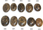 Palm Stone Fosil Stromatolit Druzy din Peru Mineral Natural 50-64 x 38-48 x 17-26 mm (XXL) - 1 Buc