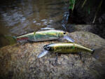 Biwaa N-DENGER 110SP 11cm 17gr D026 Fire Pike