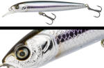 Adusta RSJ-88SP MINNOW 8.8cm 8gr 010 Wakasagi