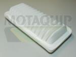 MOTAQUIP Filtru aer MOTAQUIP VFA954 (VFA954) - automobilus