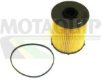 MOTAQUIP filtru combustibil MOTAQUIP VFF429 (VFF429) - automobilus