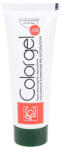 Modecor Colorant Alimentar Gel, Verde Modecor 100 gr (23128)