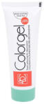 Modecor Colorant Alimentar Gel, Vernil Modecor 100 gr (23132)