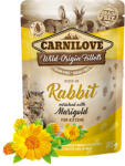 CARNILOVE CARNILOVE CAT kitten nyúl körömvirággal 12X85g