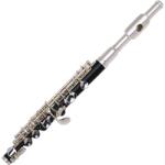 Trevor J. James Trevor James - Vivace Piccolo