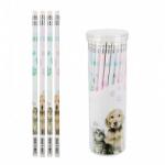 Starpak Kutyás vagy cicás radíros grafitceruza (IMO-SP-402650-2024)