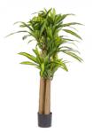 Bizzotto Dracena artificiala in ghiveci 110x150 cm (0172965)