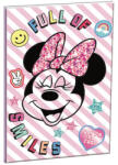 GIM Disney Minnie B/5 vonalas füzet 40 lapos GIM34041400 (GIM34041400)