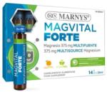 MARNYS MAGvital Forte Lipozomal, 14 fiole, Marnys