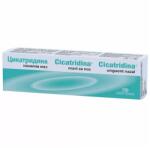 Naturpharma Cicatridina unguent nazal, 15 g, Naturpharma