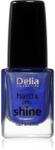 Delia Cosmetics Hard & Shine erősítő körömlakk árnyalat 813 Elisabeth 11 ml