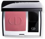 Dior Rouge Blush arcpirosító kompakt ecsettel és tükörrel árnyalat 962 Poison (Matte) 6 g