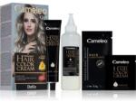 Delia Cosmetics Cameleo Omega tartós hajfesték árnyalat 9.11 Frozen Blond