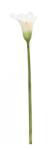 Bizzotto Set 12 Cale artificiale verzi albe 14x21x82 cm (0170654)
